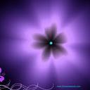 Kerri Morrison - @LililPurple - Twitter