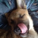 Jared Barfield - @JaredBarfield - Twitter