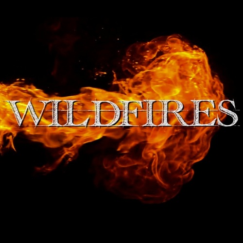 WILDFIRES is a short film about one man who must save the Earth... by killing 90% of the people on it.