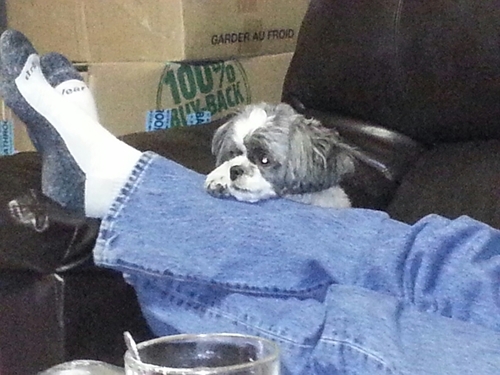 de8692's profile picture. 