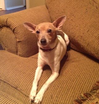 janaleighmb's profile picture. 