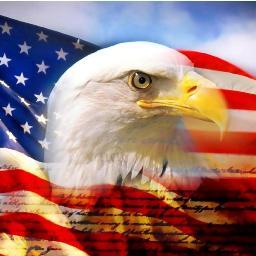 Boxes4Brave's profile picture. Helping @ForTheTroops raise money and awareness of their work.