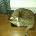 Eric Hodgson - @ericchef67 - Twitter