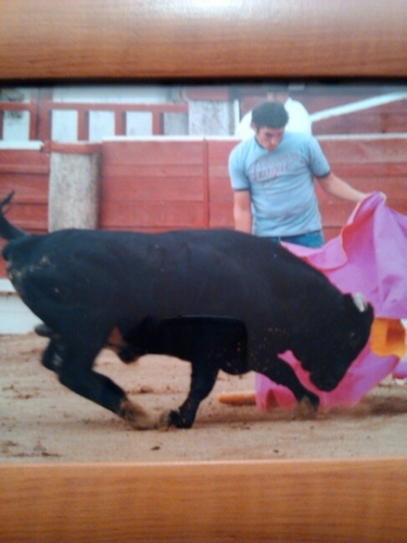 me encanta el deporte en general pero sobre todo tipical spanish:el futbol y los toros