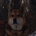 Verbuck (@verbuck) Twitter profile photo