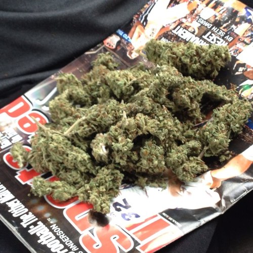 Just a educated kid livin the high life! 

#dank