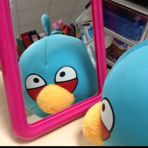 ylalaland's profile picture. keep the fire burning.