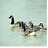 momgoose05's profile image
