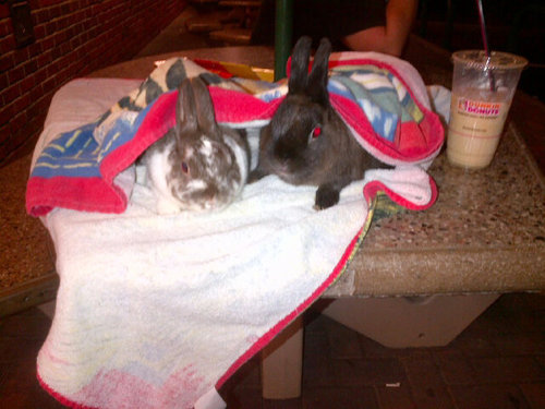 TBOX's profile picture. **warning** follow me and you could learn something kool