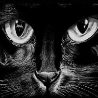 D M (@dia_mondos) 's Twitter Profile Photo
