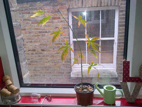 normsgoldfish's profile picture. Some dude, love to rave and enjoy a doob or two or three.... Etc