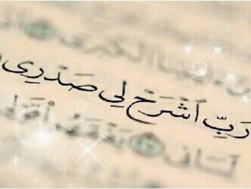 wawacoco100's profile picture. 