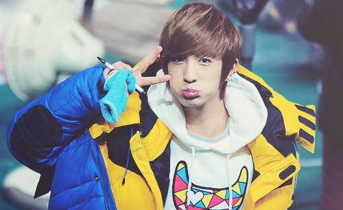 Everyone bullies me even twitter ;A; Let me be a free koala~