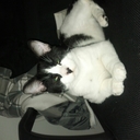 jerome luckey sr - @mrluckey2 - Twitter