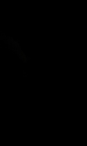 chriswatts532's profile picture. I am 18 i love video games. mmo's new to twitter looks like fun.