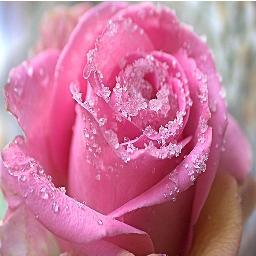 One of a kind u will never find any1 like me..!!! Everyone sees who I appear to be but only a few know the real me, you only see what I choose to show, theres s