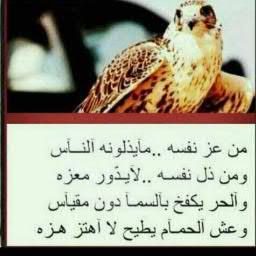 سأظل دائما أتقبل راى الناقد والحاقد .فالاول يصحح مساري   و الثانى يزيد من اصراري  !
