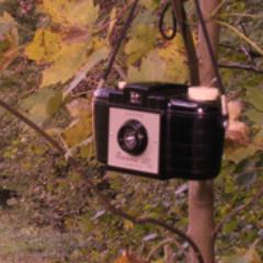 IRAZABALANGEL's profile picture. 