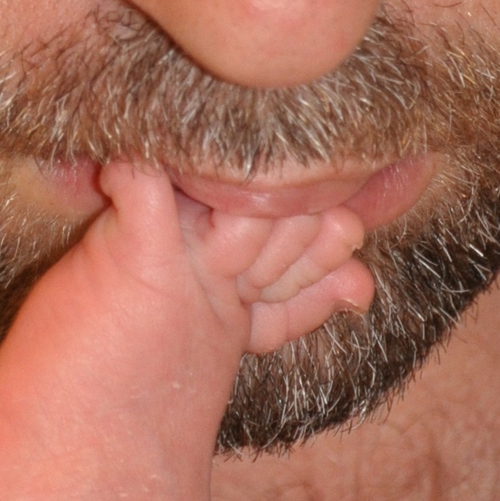 QuesoLove's profile picture. Developer of ice cream flavors, content platforms, sappy songs, cheese descriptors, princesses, puns and seasoned popcorn. https://t.co/iIYPSj4p6t