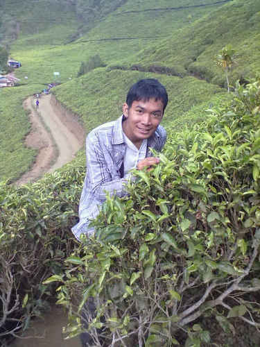 Andi Dwi Wantoro