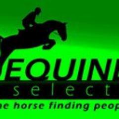 An Equestrian site, for horse, trailers, lorries and tack to be advertised at a very reasonable cost!
Plus tack shop.