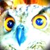Alfonso Rodriguez (@alro9500) Twitter profile photo