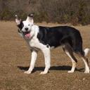 Vanessa Howe - @VanessaHowe6 - Twitter