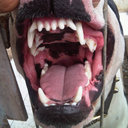 andreas william - @andreas_w23 - Twitter