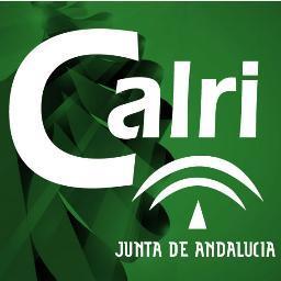 Cuenta Oficial de la Vicepresidencia de la Junta de Andalucía y de la Consejería de Administración Local y Relaciones Institucionales.