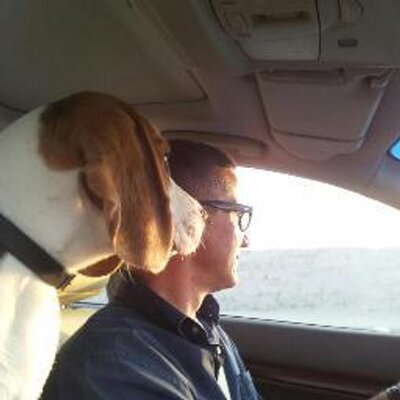 Peter van der Ree (@PetervanderRee) | Twitter