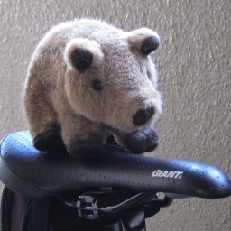 自転車、モーターサイクル、ダーツが好き。でもどれも歴史は浅い。歳とってから興味持ったもんが多いな。あっ、舞台観るのも好きだった。最近はシンガーソングライターのライブにもよく出没。