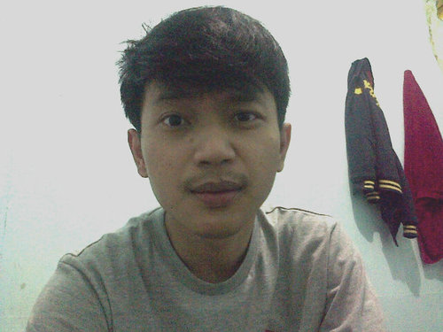 tollenugrohoo's profile picture. 