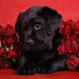 luiza19655804's profile picture. 