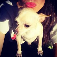 Mavacrod (@mavacrod) 's Twitter Profile