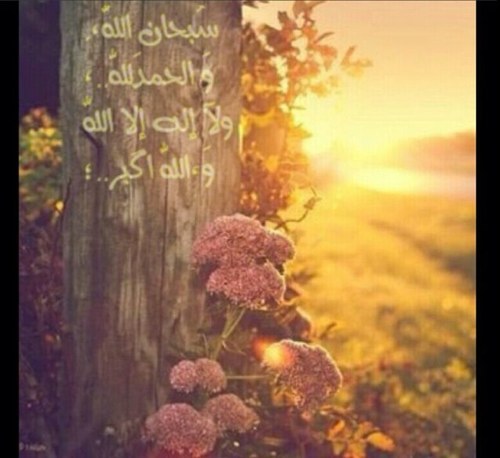 jory_1122's profile picture. اللهم افتح لي ابواب رحمتك ،،