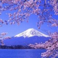A.D (@admacroviews) 's Twitter Profile