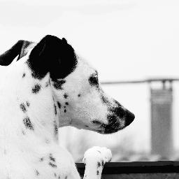 CynthiaOngena's profile picture. 