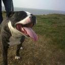 sid freeman - @liveddog666 - Twitter