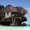 DeeDee Harrison - @WHAOrlando75 - Twitter