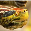 Axel Nilsson - @AuqpacAxel - Twitter