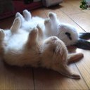 sandra warner - @sandrawarner16 - Twitter