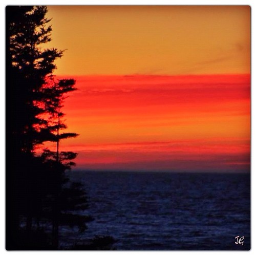 Antone883's profile picture. hi everyone going to the cinema tomorrow cant wait with friends