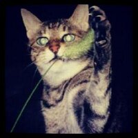 ナ カ ム ラ セ イ ジ ロ ウ (@sei260) 's Twitter Profile Photo