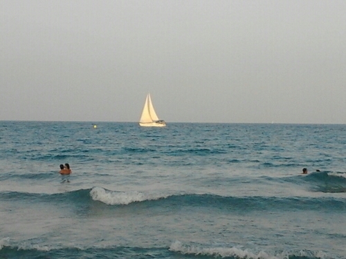 verdu_javier's profile picture. 