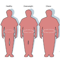 My goal is to help people lose weight for better health, appearance, and self esteem. Check out my blog for plenty of free weight loss tips and tricks.