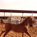 بريدوي واحب القصيم (@0567106668Ss) Twitter
