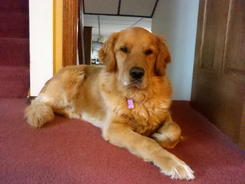 mcleary1106's profile picture. 