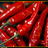 cyberchef67's profile image