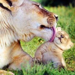 deltagega's profile picture. 