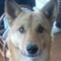 keik2009's profile picture. 旅行好き。JGC&SFCです。
基本的に国民民主党支持者ですが、大阪維新は実績面で尊敬してて音喜多さん石平さんは応援してます。